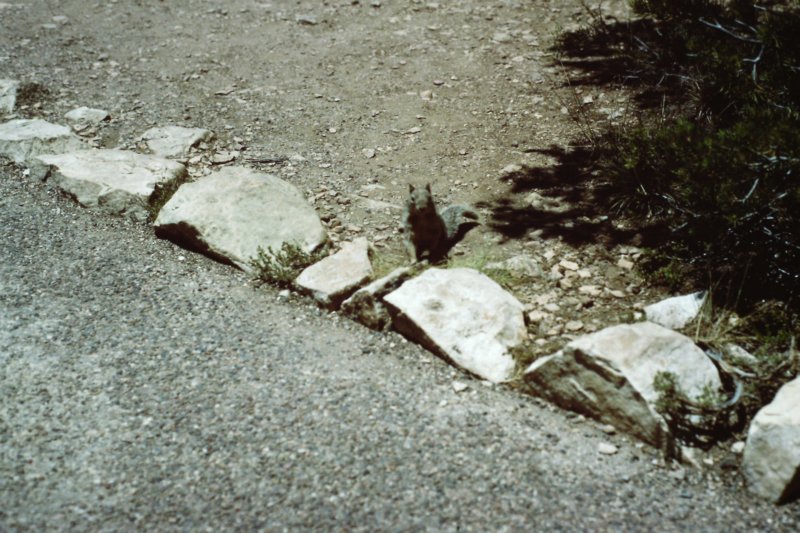 slides1987box205.jpg