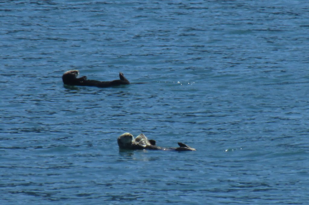 alaskajune201602020.jpg