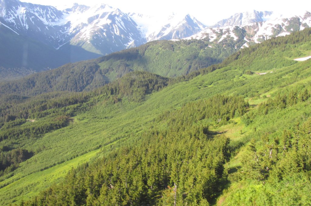 alaskajune201603080.jpg
