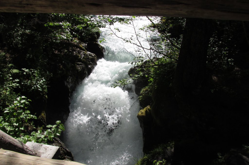 alaskajune201603690.jpg