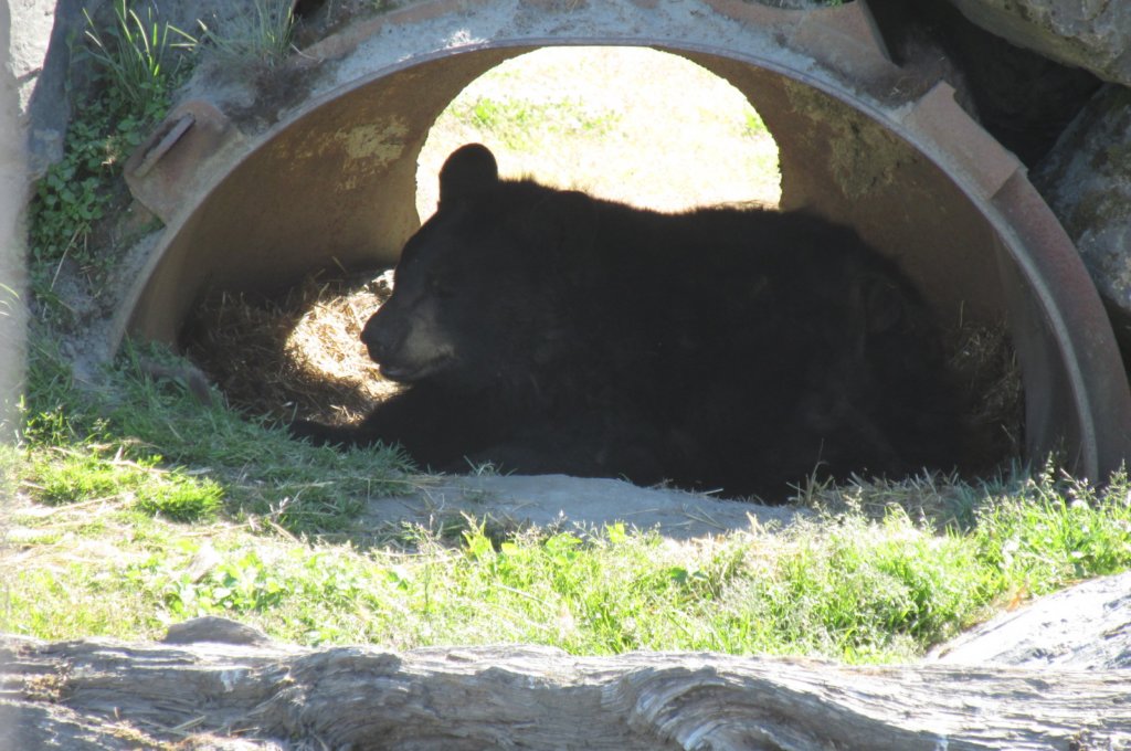 alaskajune201604330.jpg