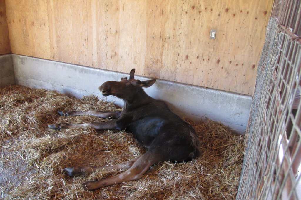 alaskajune201604520.jpg