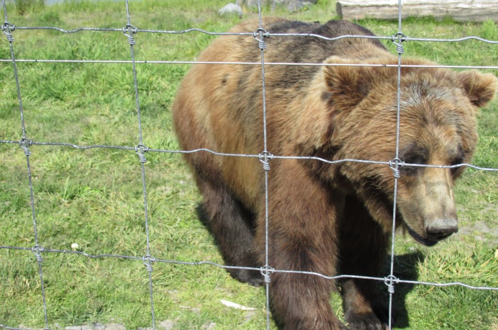 alaskajune201604710.jpg