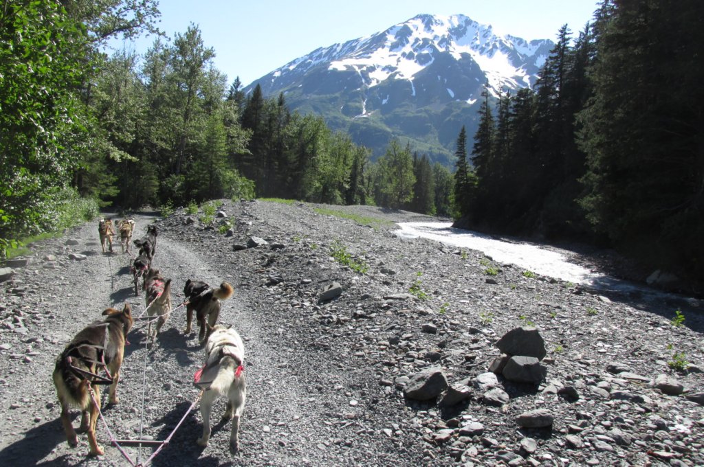 alaskajune201606860.jpg