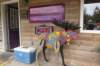 alaskajune201611090_small.jpg