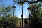arizonatripoct20221700_small.jpg