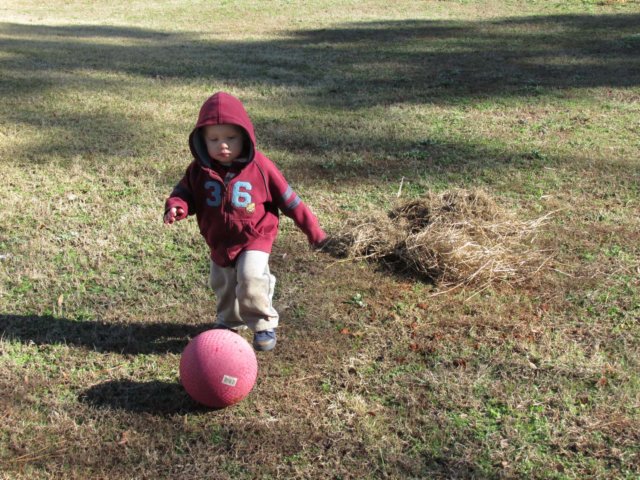img_0086a.jpg