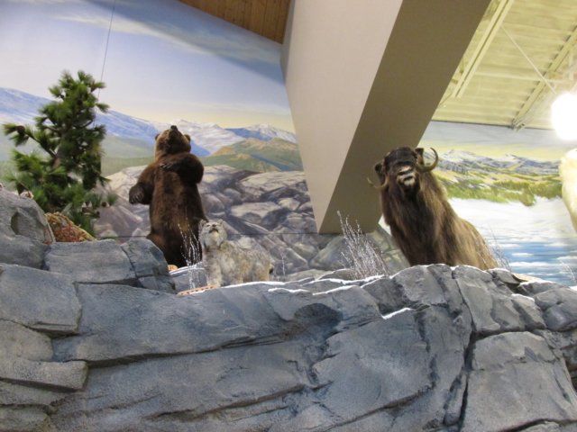 coloradotripjune20150150.jpg