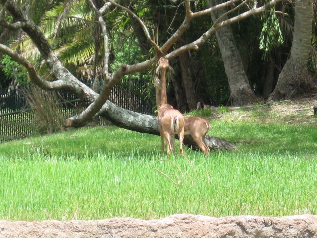 img_3043.jpg