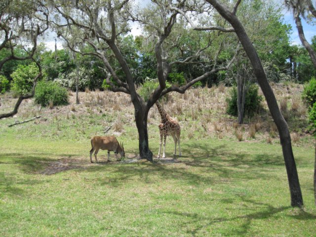 img_3067.jpg