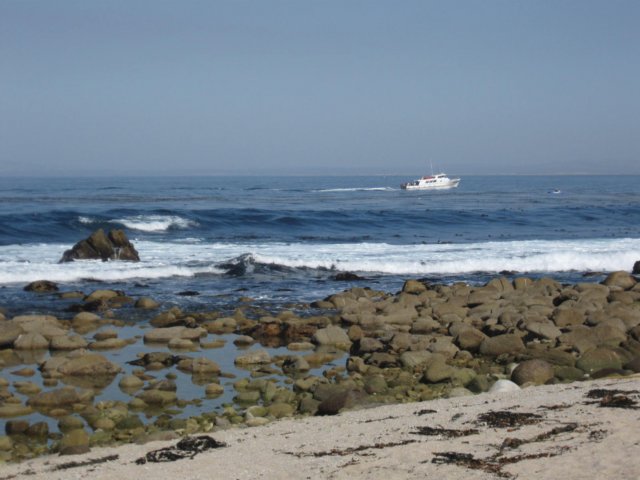 img_0864.jpg