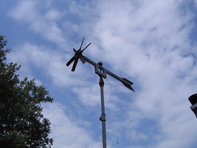 img_9119.jpg