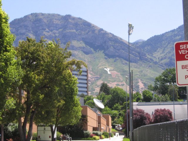 img_8547.jpg
