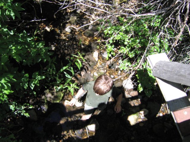 img_8695.jpg