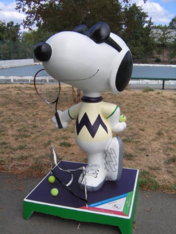 tennisanyone.jpg