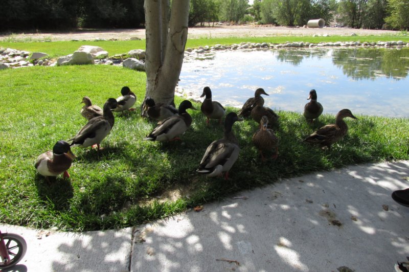 utahsept20160860.jpg