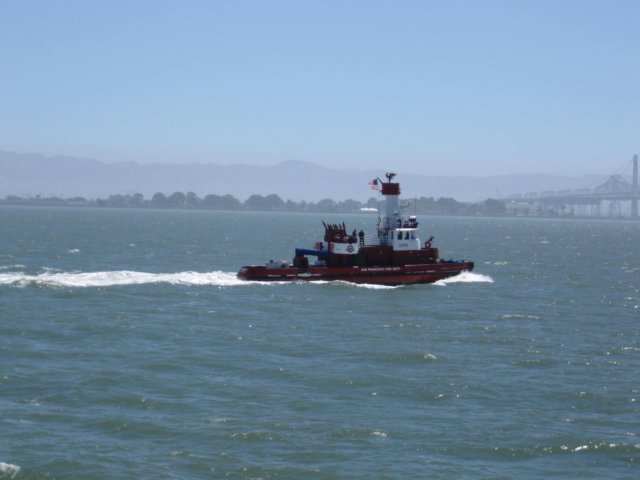 img_8250.jpg